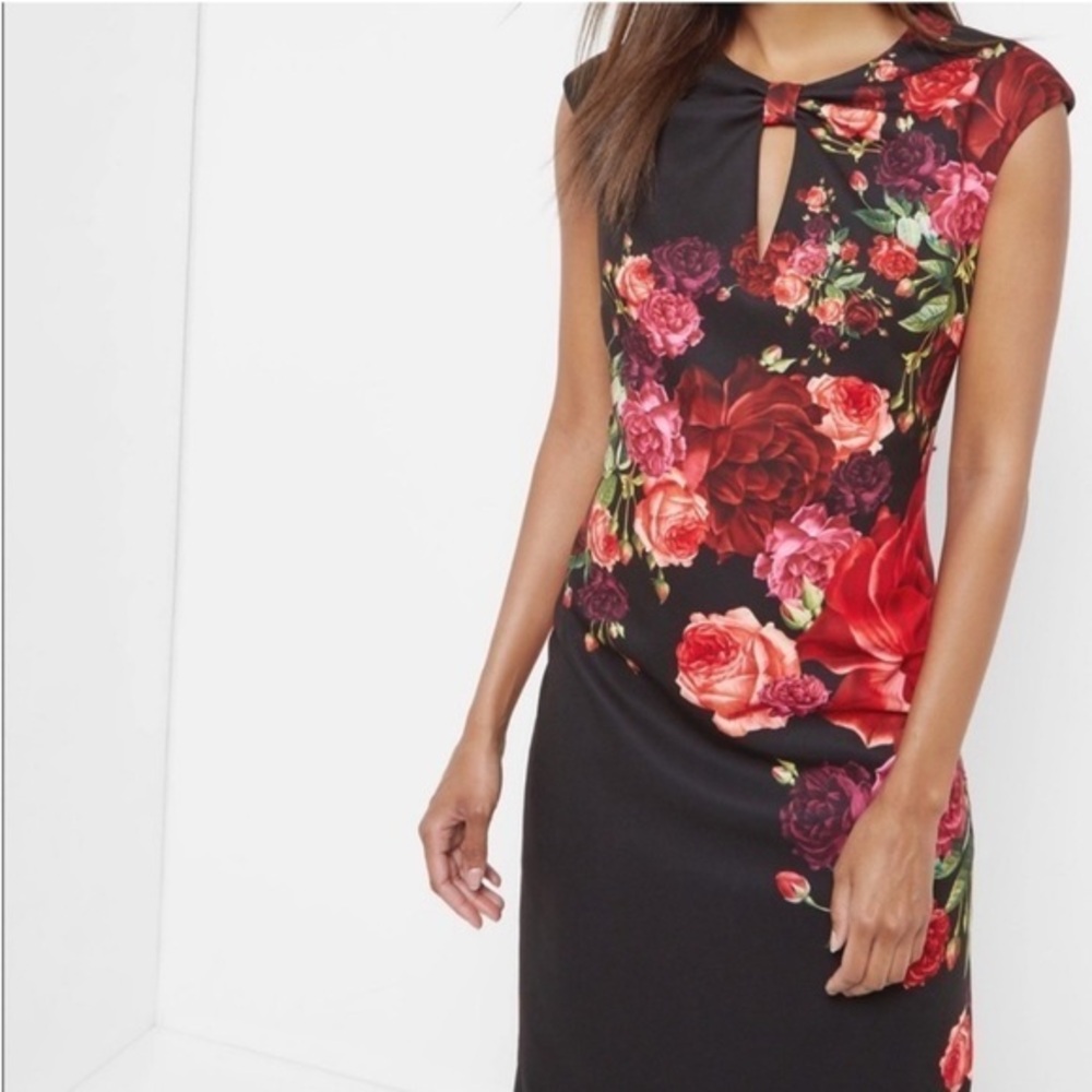 Ted Baker Dress Mirrie Juxtapose Rose Midi Sheath in Black Red Floral